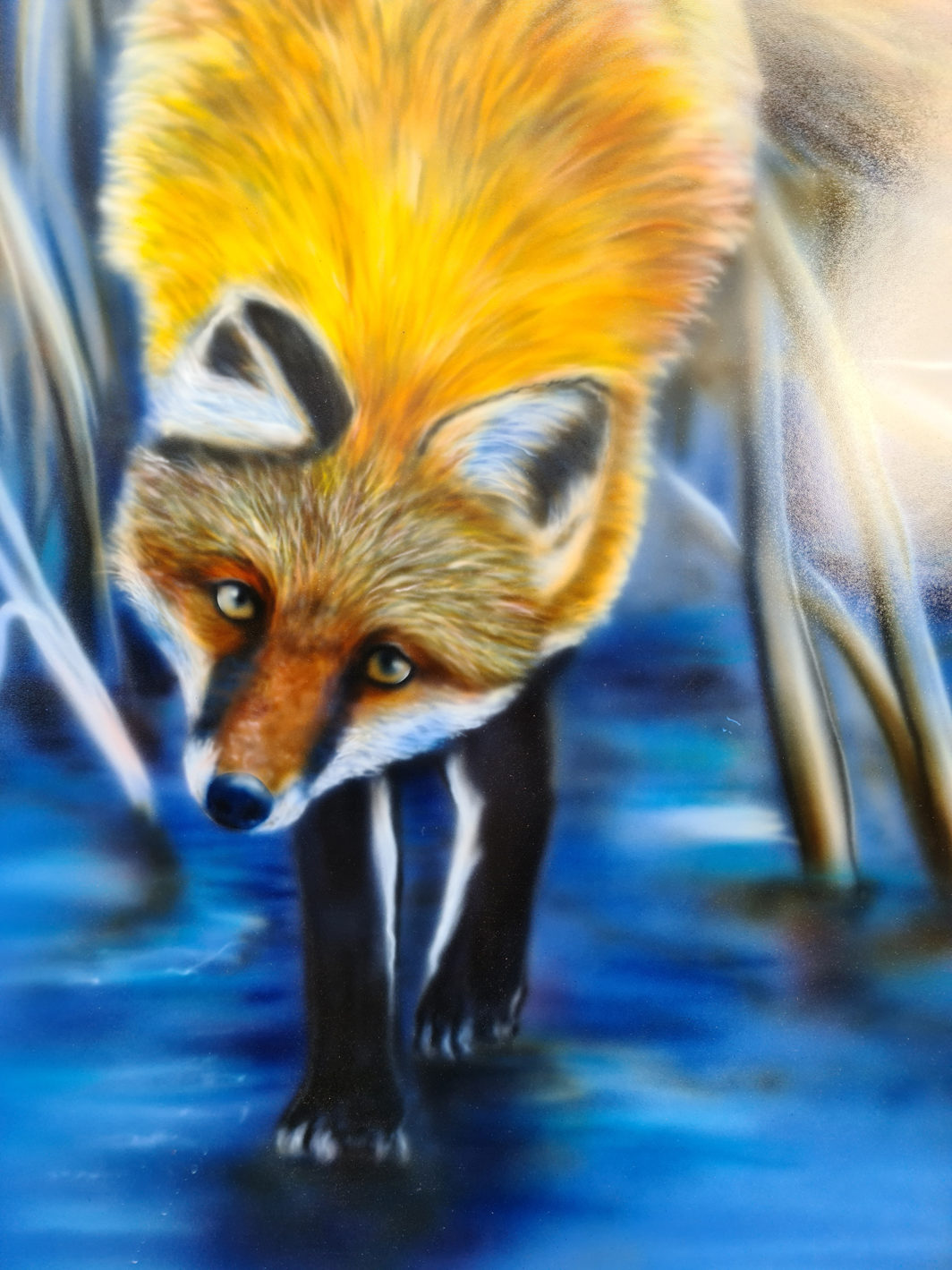 Fuchs auf dem Eis See – Bild 2